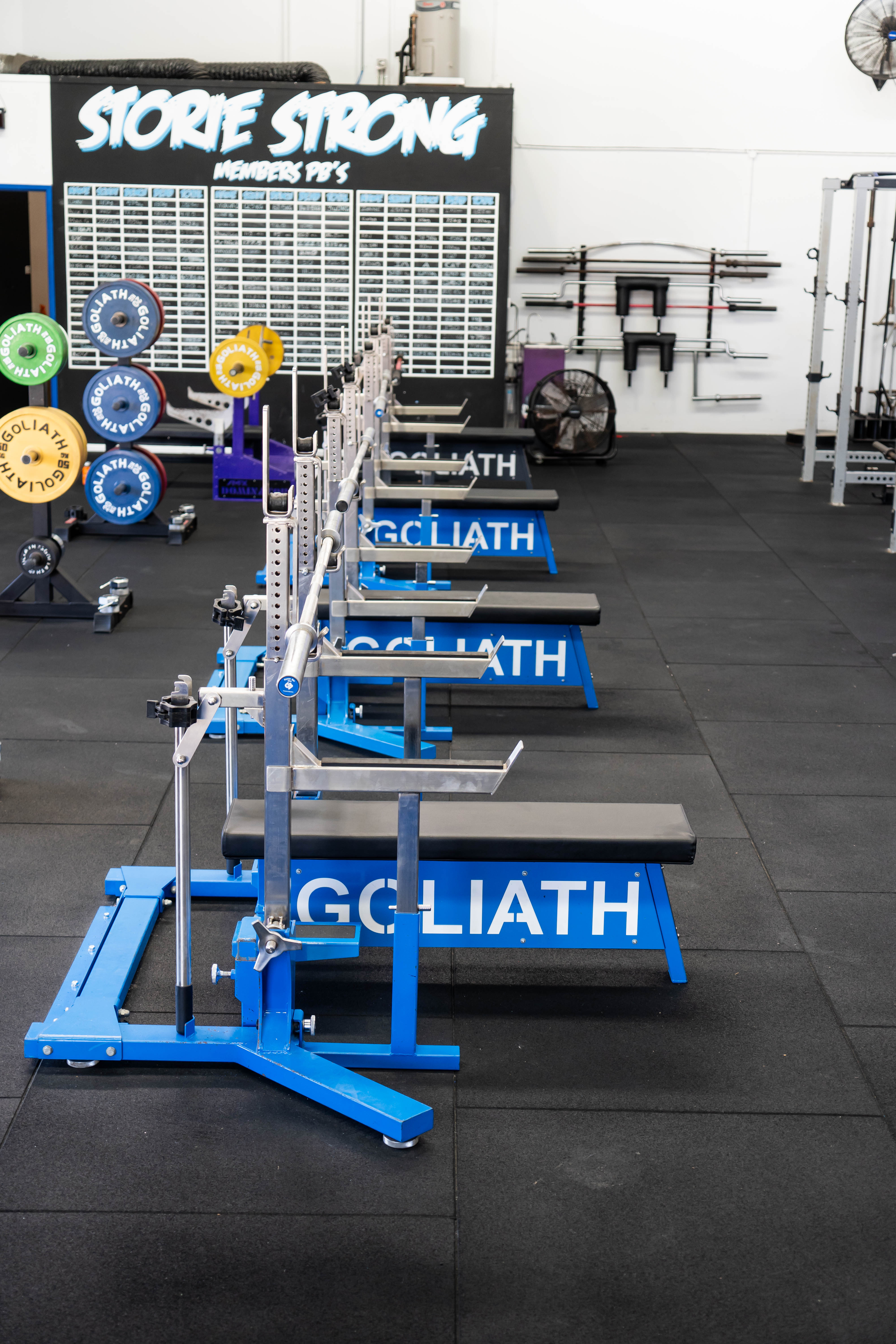 Storiestrong HQ bench press row